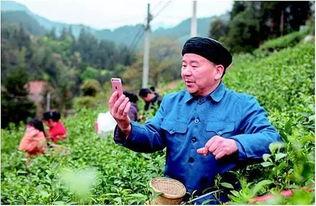 农民网红爆料视频大全最新,揭秘农村生活新视角  第1张